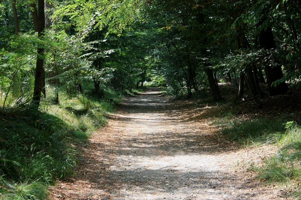 Incontri del 14.7.12 Parco del Ticino